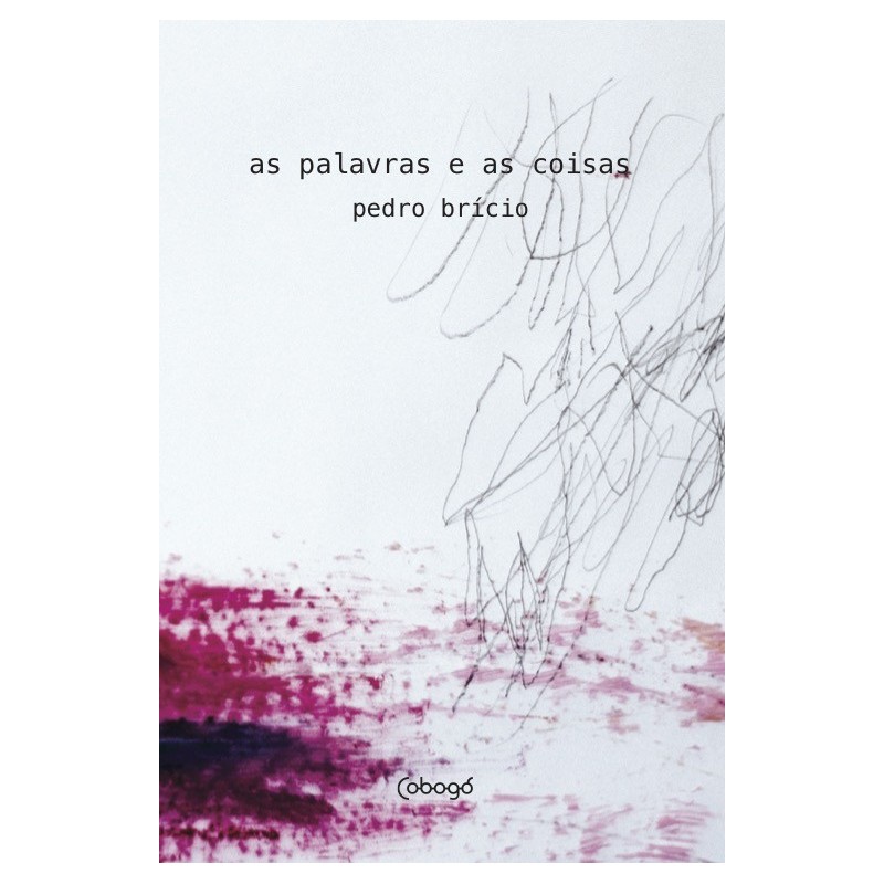 As palavras e as coisas - Brício, Pedro (Autor)