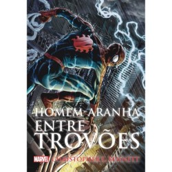 HOMEM ARANHA ENTRE TROVOES...