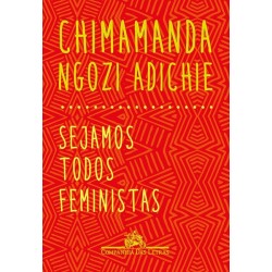 Sejamos todos feministas -...