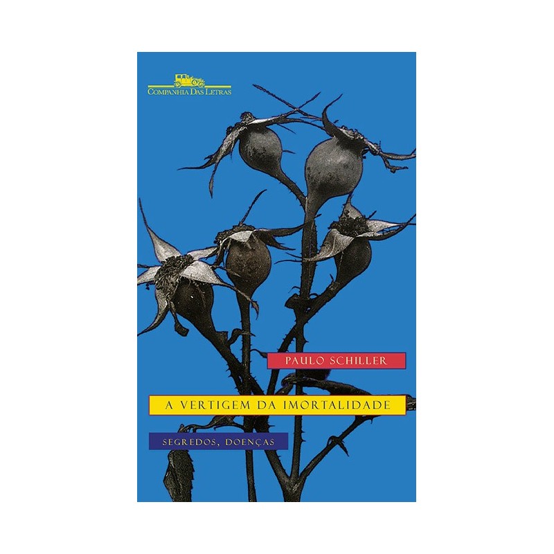A vertigem da imortalidade - Paulo Schiller