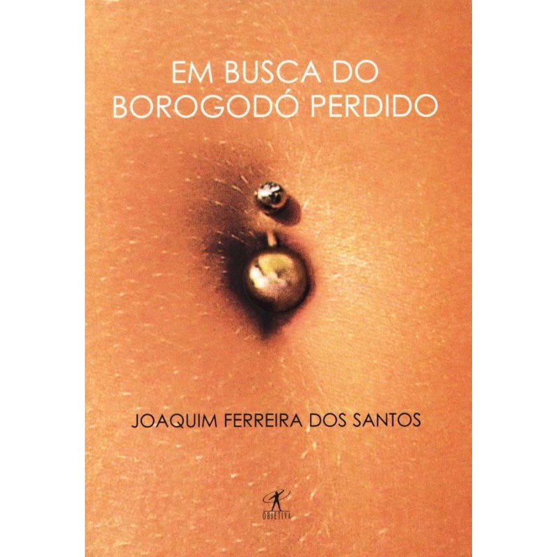 Em busca do borogodó perdido - Joaquim Ferreira Dos Santos