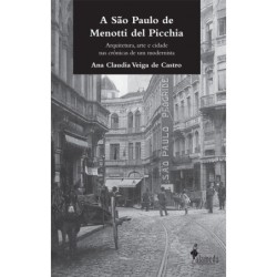 A São Paulo de Menotti del Picchia - Castro, Ana Claudia Veiga de