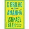 O brilho do amanhã - Ishmael Beah