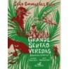 Grande sertão: veredas (Edição em quadrinhos) - Guimarães Rosa, João